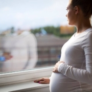 Pregnant Lady at Window